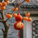 Little_Xiao