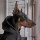 Top锤哥（小红书全业务） 