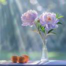 用户55147054的头像 