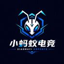 小蚂蚁电竞俱乐部