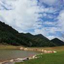 麦田守望者zjf的头像-熵减岛