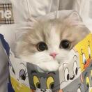 训龙高手的头像-三米星球：游戏人&互联网人终身成长的平台