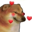 不是洪世贤的头像-cg男孩