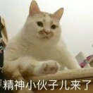 那年那楼那些事儿