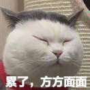 瘦不到150不改名