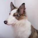 用户71908780的头像-柒圈