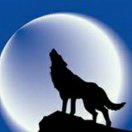 王连军的头像-熵减岛