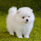 wx_雍伟38