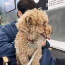 u客直谈实名认证杨贵阳