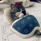 夫子