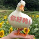 江子ꦿૢ