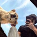 老兰的头像-助眠音声网