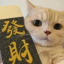 A腾讯朋友圈全行业广告投放