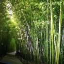 建安汇用户头像