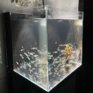 土萌的头像-博士钣金 - www.bsbanjin.com