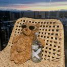 Chandler-秀琴曲谱网