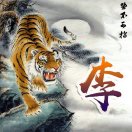 ???李想.??