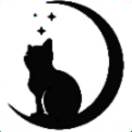 中国飞猫🐱的头像-工欲善其事，必先利其器宋辞云创