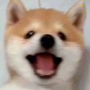 遲恩陳