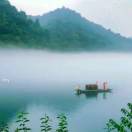 一颗大树