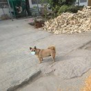 李嘉图•M•跃