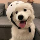 杨思琪