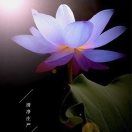 清