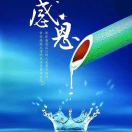 覃敏珍