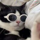 Qi NiCe的头像-cg男孩