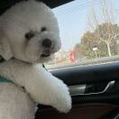 李艳艳的头像-护云帮