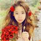 游戏机ｰ罗小姐