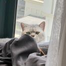 Eversum💭的头像-小燕电子书