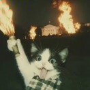 用户94175277的头像 