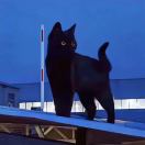 充满感情的复读机的头像-创薯资源