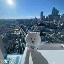 哇酷哇酷的钢琴谱