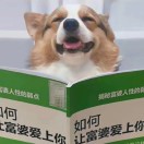     的钢琴谱