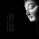 张先生的头像