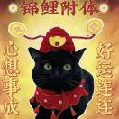 制洋的头像-风行者社区