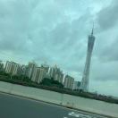 Arloᯤ⁵ᴳ的头像 