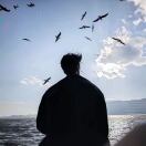 Adong的头像 - 腾飞博客