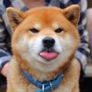空心擎天柱