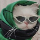 ENIAC的头像-氪赛事-大学生竞赛交流社区