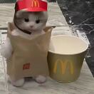 用户33825625-风行者社区