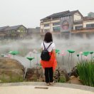 梦梅春