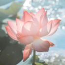 就那样