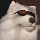 xinlizui2's Avatar