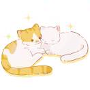 mooncake666370 member profile picture