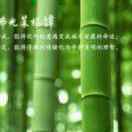 垨望