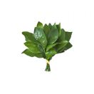 Fulham Palace Studios转租&房东直租