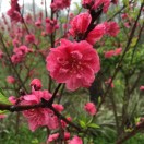 做账报税，注册公司